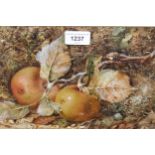Edith F. Grey, two signed watercolours, decaying apples on a mossy bank and still life with oranges,