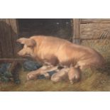 Pair of 19th Century coloured engravings after J.F. Herring, sow and pigs with cow and calf, 10ins x