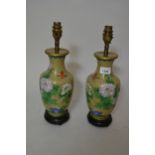 Pair of Chinese cloisonne baluster form table lamps decorated with birds and insects, 14ins high