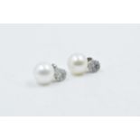 Pair of 18ct white gold South Sea pearl and brilliant cut diamond cluster stud earrings,