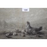 Octavia Campotosto, pencil drawing heightened in white, a mother hen with a brood of chicks in a