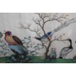 Chinese watercolour on rice paper, birds in a landscape, 8ins x 13.5ins, framed 8ins x 13.5ins