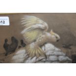 19th Century pencil heightened in coloured chalks, an escaped cockatoo, attributed on the mount