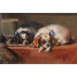 Maplewood framed oil, portrait of two spaniels resting,