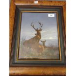 Large porcelain plaque, hand painted with a stag and family group in a burr wood frame, 14ins x