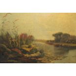 Edwin Henry Boddington, oil on canvas, river landscape with distant cattle, signed Edwin Boddington,