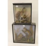 19th Century taxidermy, three glass case housing a preserved and mounted kestrel, 15ins high