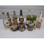 Ten various bottles, spirits etc.