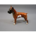 German porcelain figure of a boxer dog