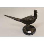 Brown patinated bronze figure of a pheasant, 12.5ins high x 18ins wide