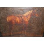 Early 19th Century oil on canvas, horse in a stable, 16ins x 20ins