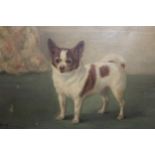 Frances C. Fairman, oil on canvas, portrait of a dog before a floral curtain, signed F.C. Fairman