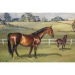 David Waller signed oil on canvas, portrait fo two horses in a paddock, 15.5ins x 19.5ins