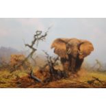 David Shepherd, two unframed and mounted Limited Edition prints of elephants, No. 371 and 372 of
