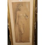 Black chalk drawing heightened with white, female nude study, 27ins x 9.5ins, gilt framed (damages)