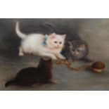 19th Century oil on canvas, cats playing with a peeled apple, 12ins x 16ins IMAGES NOW ADDED