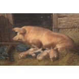 Pair of 19th Century coloured engravings after J.F. Herring, sow and pigs with cow and calf, 10ins x