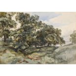 JOHN MIDDLETON (1827-1856) A WOODED LANDSCAPE Dated July -3/ 55, watercolour and pencil heightened