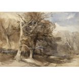JOHN MIDDLETON (1827-1856) A NORFOLK WOODED LANDSCAPE Watercolour and pencil 33.5 x 48.5cm.