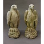 A PAIR OF RECONSTITUTED STONE FALCONS, each standing with wings folded on rocky outcrops, with inset