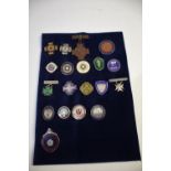 NURSING BADGES - YORKSHIRE 19 various badges including Bradford Royal Infirmary (including