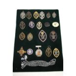 NURSING BADGES 20 various badges in a variety of materials, including Queen Victoria's Jubilee