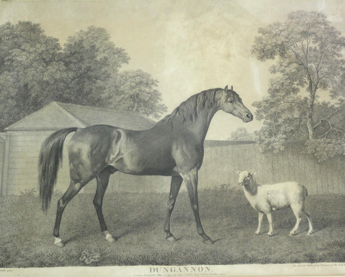 AFTER GEORGE STUBBS, ARA (1724-1806) DUNGANNON Stipple engraving, by George Townley Stubbs,