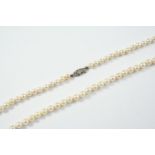 A SINGLE ROW GRADUATED CULTURED PEARL NECKLACE the pearls graduate from approximately 5.1mm to 5.9mm