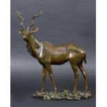 WILLIAM NEWTON (B 1959) - LARGE BRONZE KUDU a large limited edition bronze figure of a Kudu, mounted