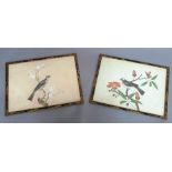 A PAIR OF ANGLO CHINESE BIRD STUDIES IN LACQUERED FRAMES. Each an ornithological study of a bird