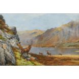 ANDREW SCOTT RANKIN STAGS IN A HIGHLAND GLEN Signed, oil on card 29.5 x 44.5cm.