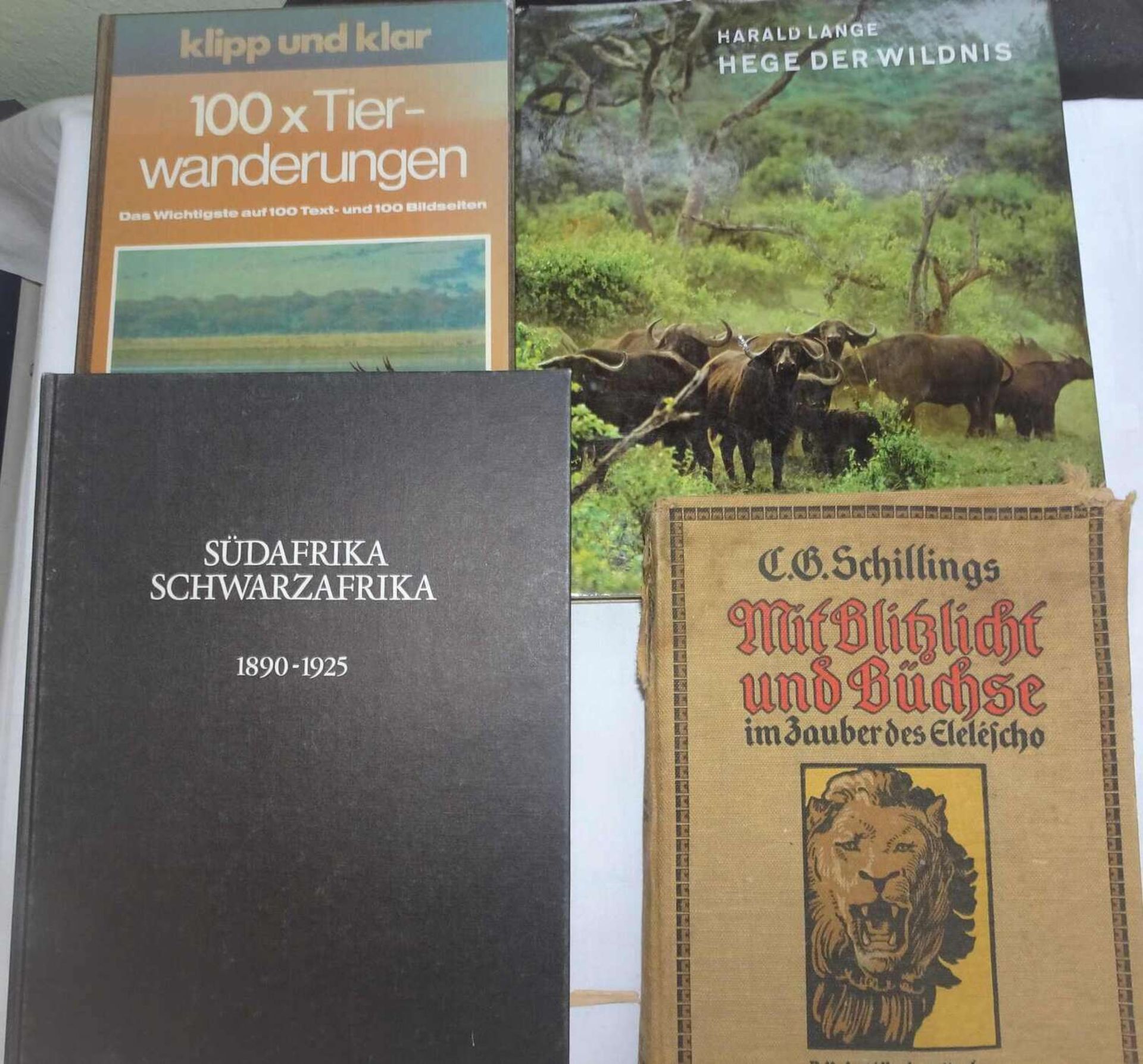 Lot Bücher zum Thema Jagd, dabei 100x Tierwanderungen, Mit Blitzlicht und Büchse, etc.Lot of book