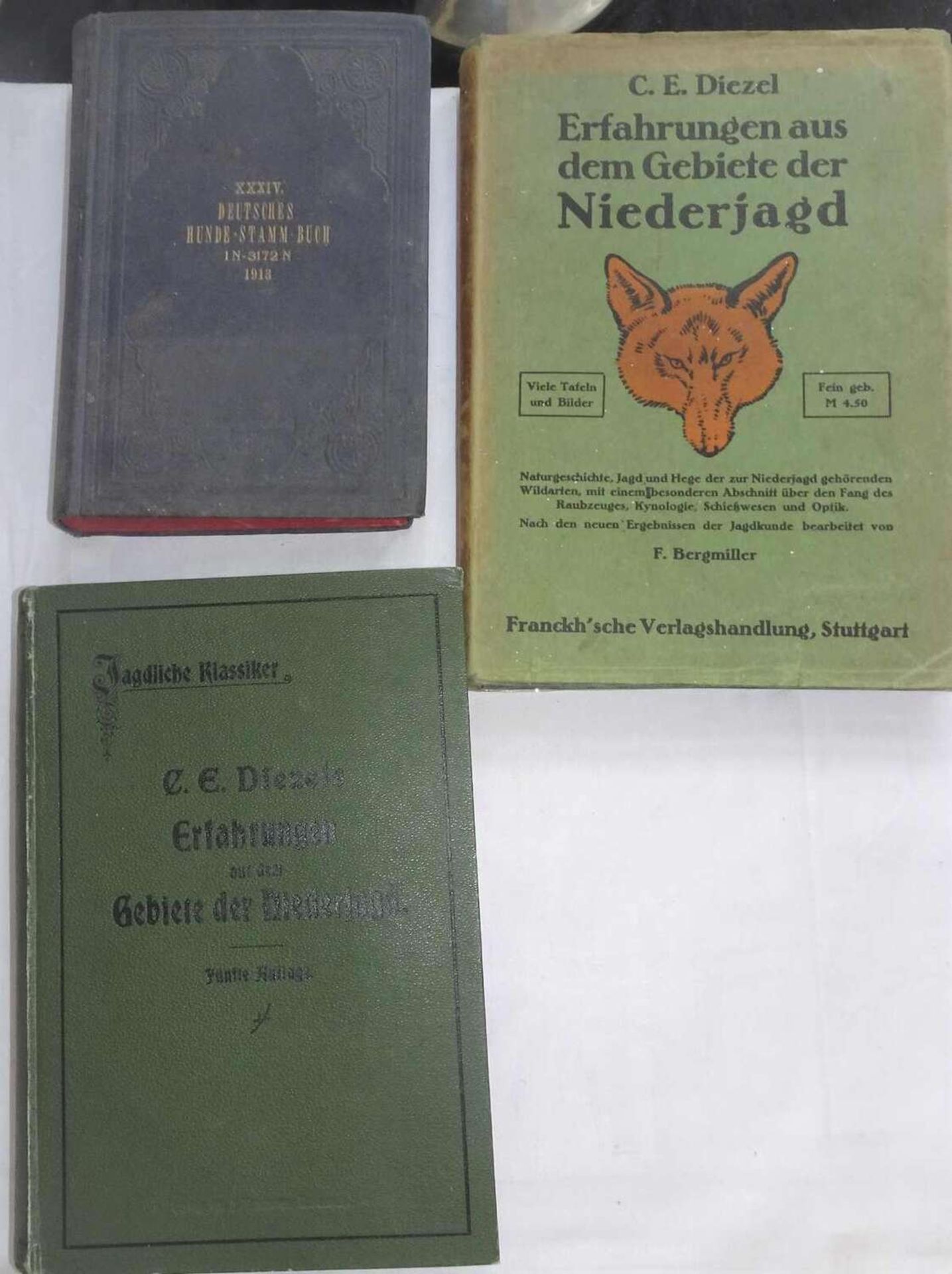 3 Bücher zum Thema Jagd, dabei "Deutsches Hunde-Stamm-Buch in 3172N 1913, C.E. Diezel - Erfahrung