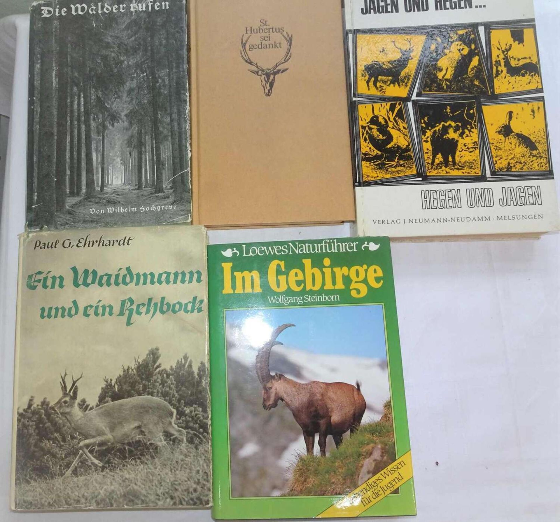 Lot Bücher zum Thema Jagd, dabei "Im Gebirge", "Jagen und Hegen", etc.Lot of books on hunting, inc