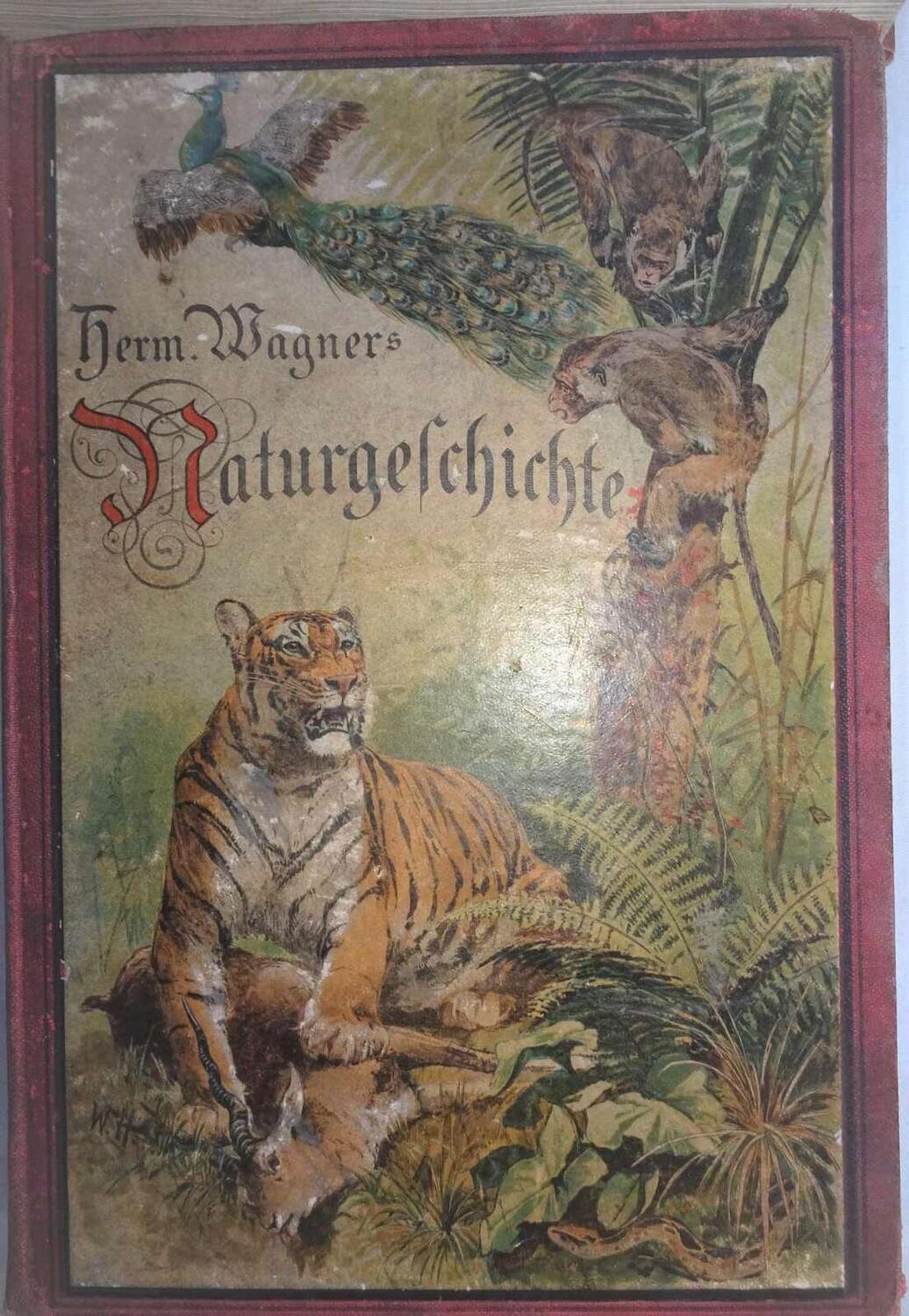 Lot Bücher zum Thema Tiere, dabei Hermann Wagner´s Naturgeschichten (nicht vollständig), Von den - Image 2 of 2