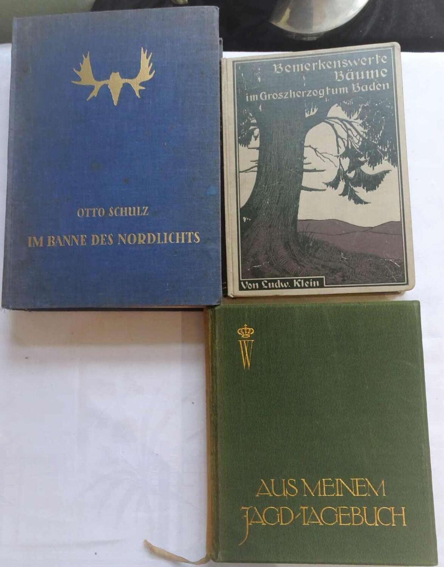 Lot Bücher zum Thema Jagd, dabei "Aus meinem Jagd-Tagebuch" von Kronzprinz Wilhelm von Preußen 19