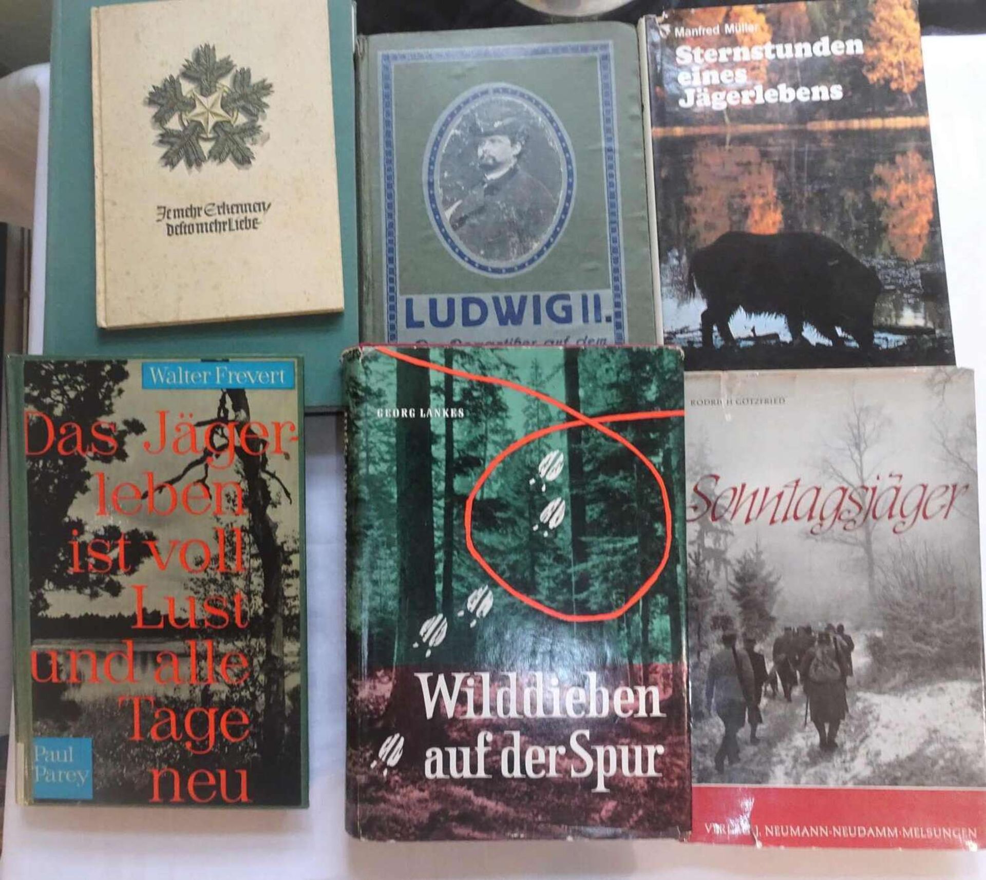 Lot Bücher zum Thema Jagd, dabei "Wilddieben auff der Spur", "Sonntagsjäger", "Sternstunden eines