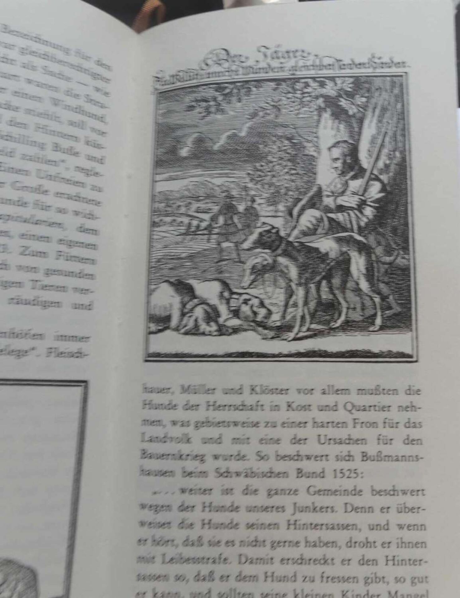 Lot Bücher zum Thema Jagd, dabei "Jagd-Brevier", "Wo es trommelt und röhrt", etc.Lot of books on - Image 2 of 2