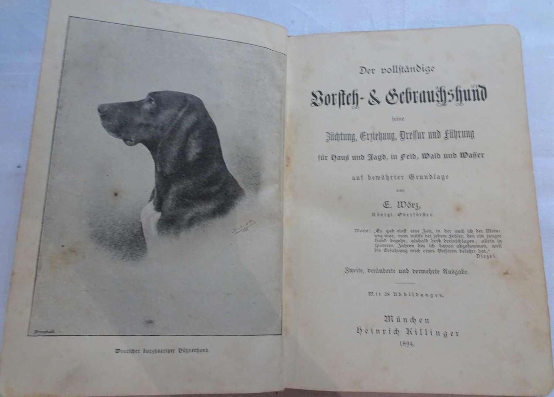 E. Wörz - Der vollständige Vorsteh- & Gebrauchshund, München, Heinrich Killinger 1894E. Wörz - - Image 2 of 3