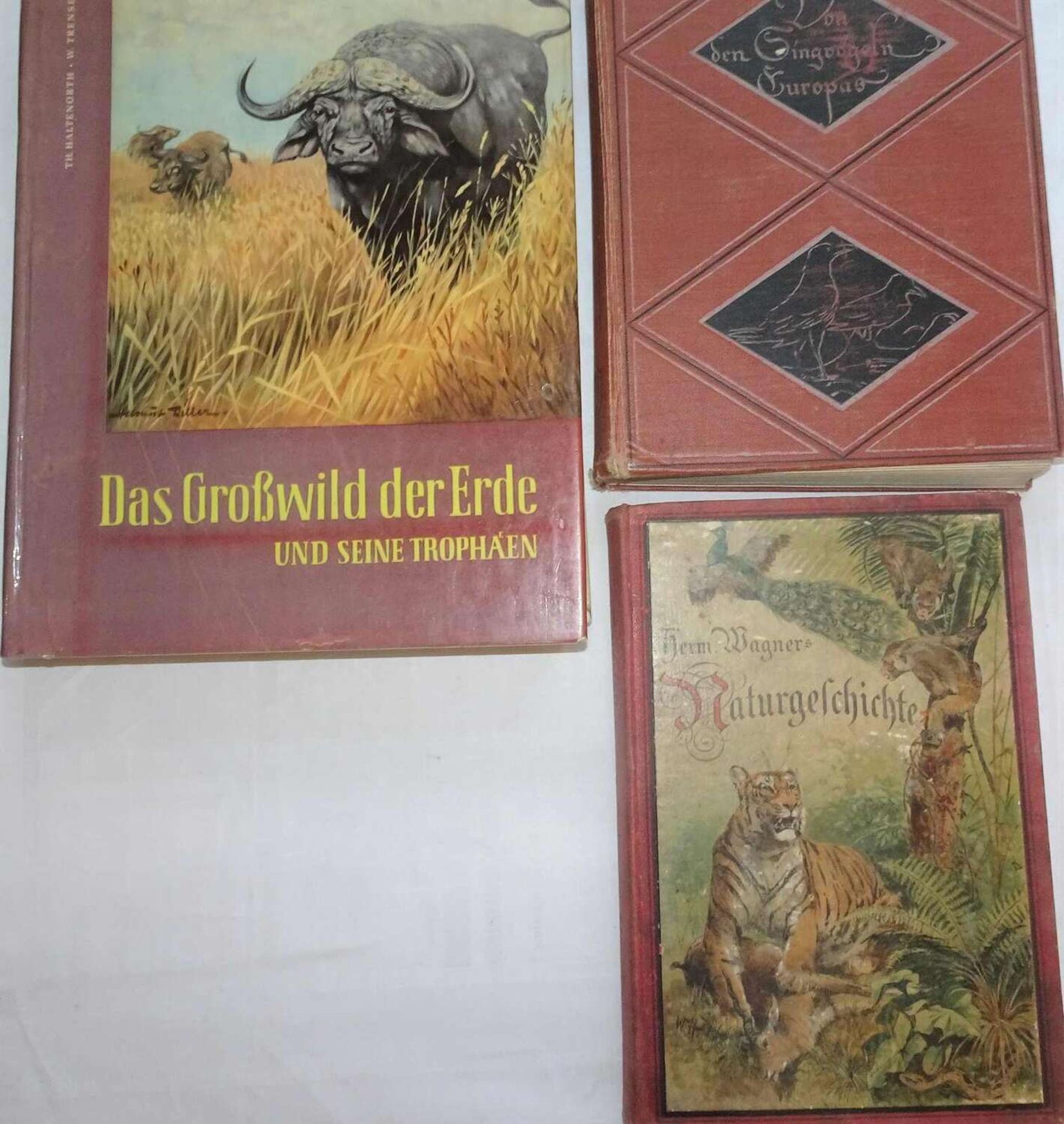 Lot Bücher zum Thema Tiere, dabei Hermann Wagner´s Naturgeschichten (nicht vollständig), Von den