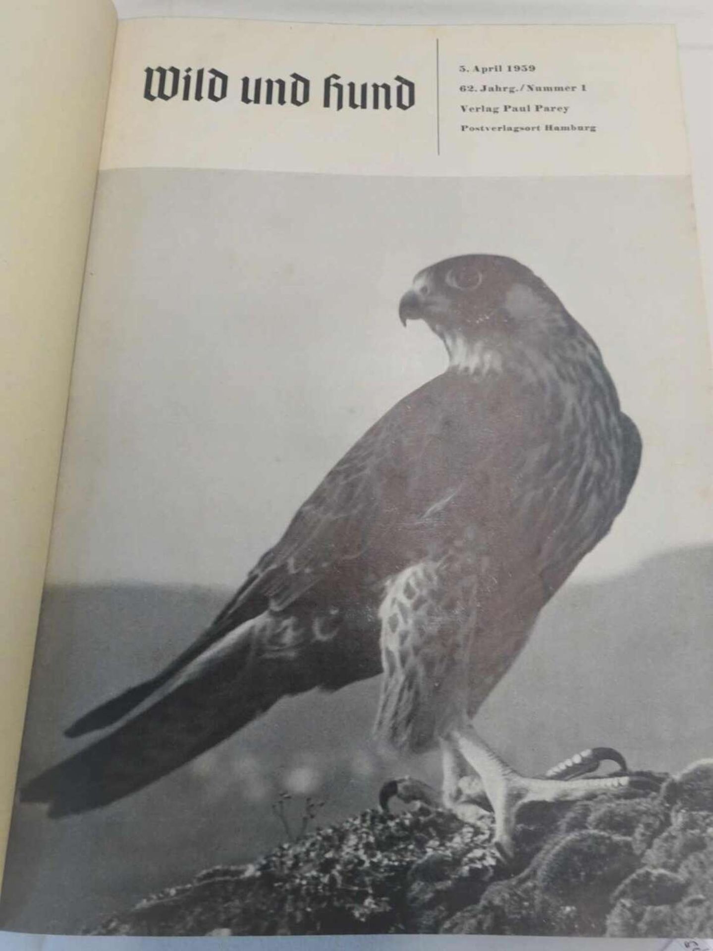 Paul Parey "Wild und Hund", 62. Jahrgang, 1959/60. Gebunden. Guter Zustand.Paul Parey "Wild and Dog