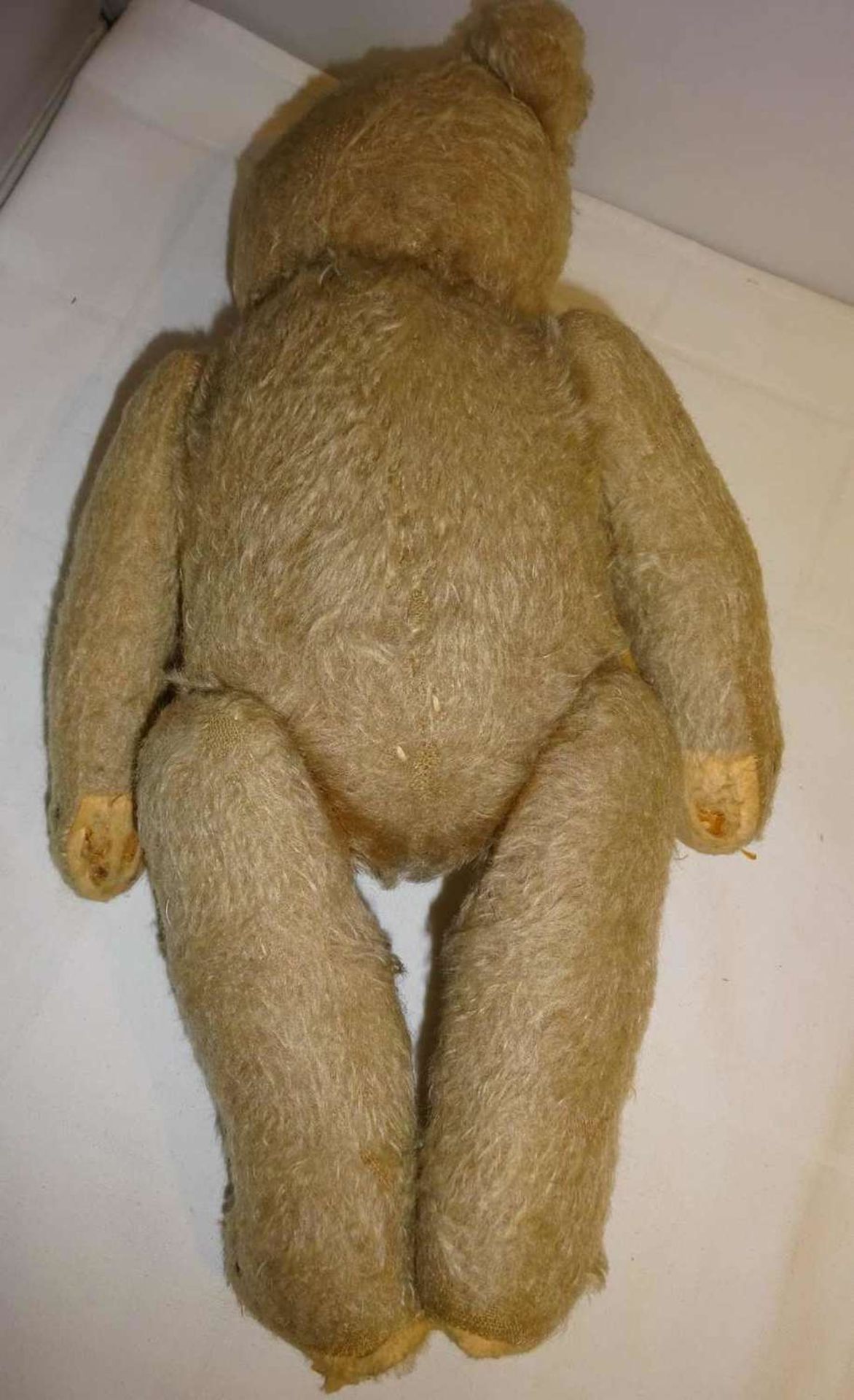 Teddybär, aus alter Holzwolle gestopft. Wohl Steiff mit Glasaugen, teilweise Filzverlust. Schöner - Bild 3 aus 3