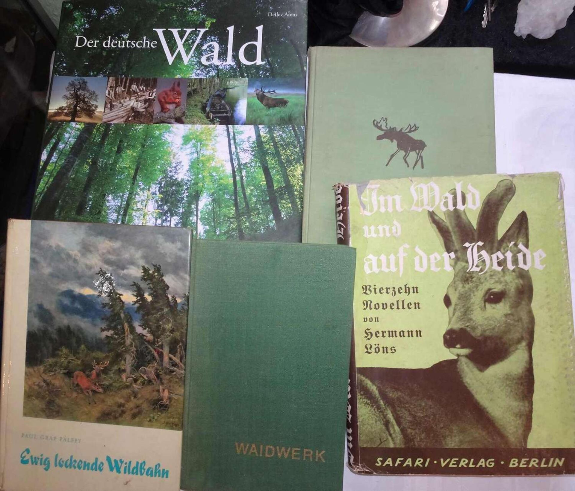 Lot Bücher zum Thema Jagd, dabei "Im Wald und auf der Heide", "Hochwild zieht durch die Wälder",