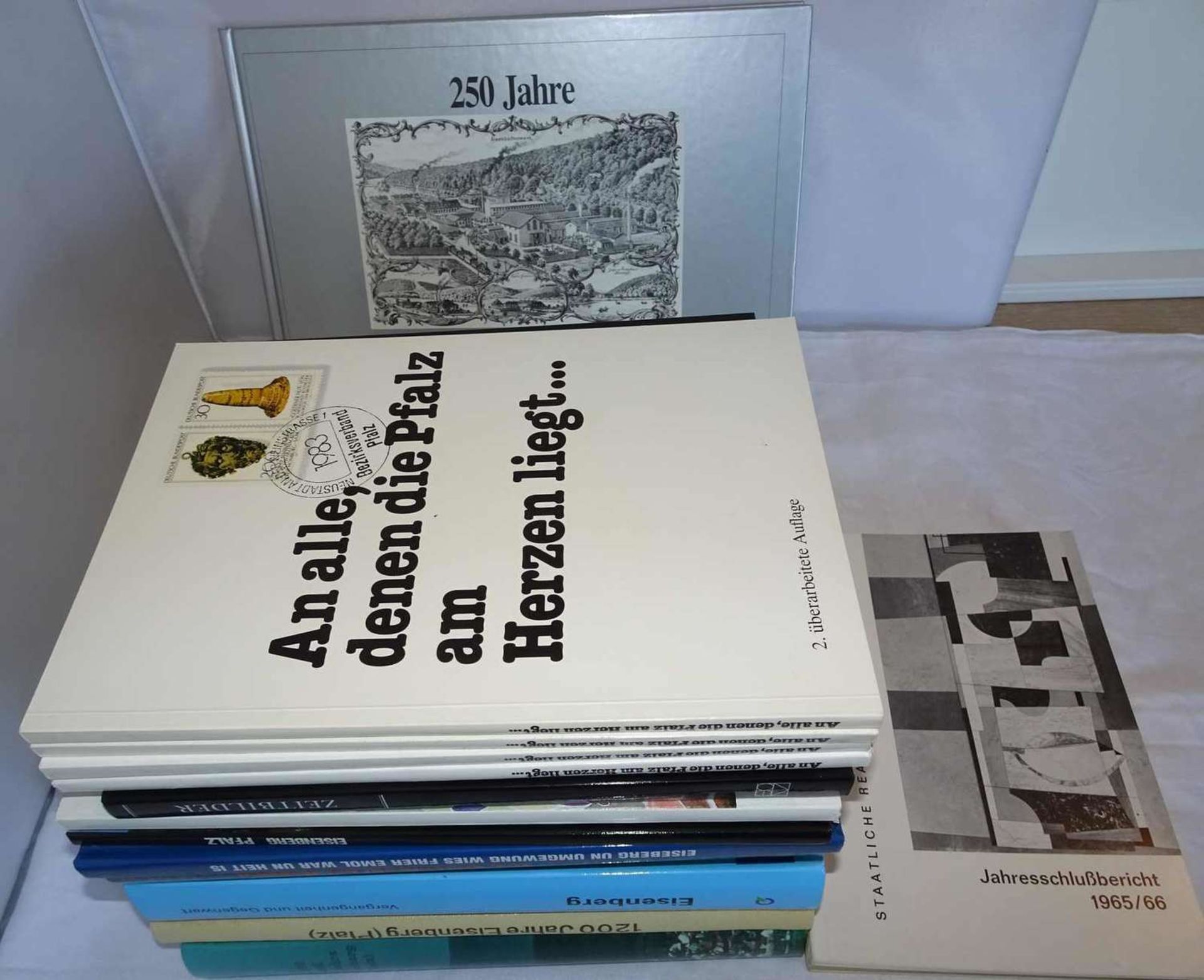Lot Bücher zum Thema Pfalz, meist Eisenberg/Pfalz. Bitte besichtigen! Lot of books on the subject
