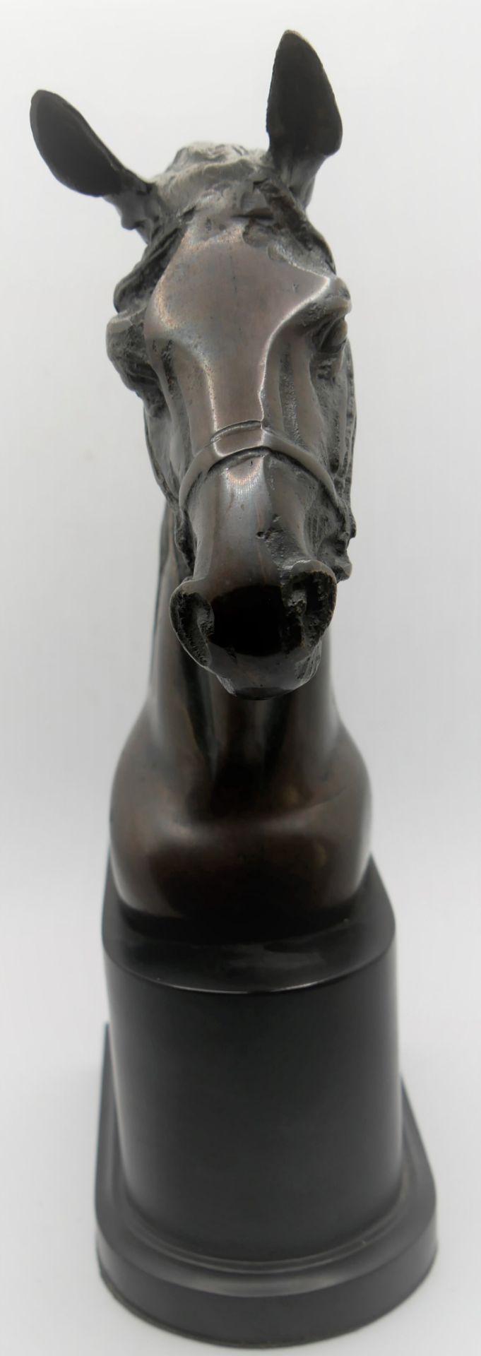 unbekannter Künstler, Bronzefigur Pferdekopf auf Sockel. Gesamtmaße: Höhe ca. 30 cm, Tiefe ca. 14 - Image 2 of 3