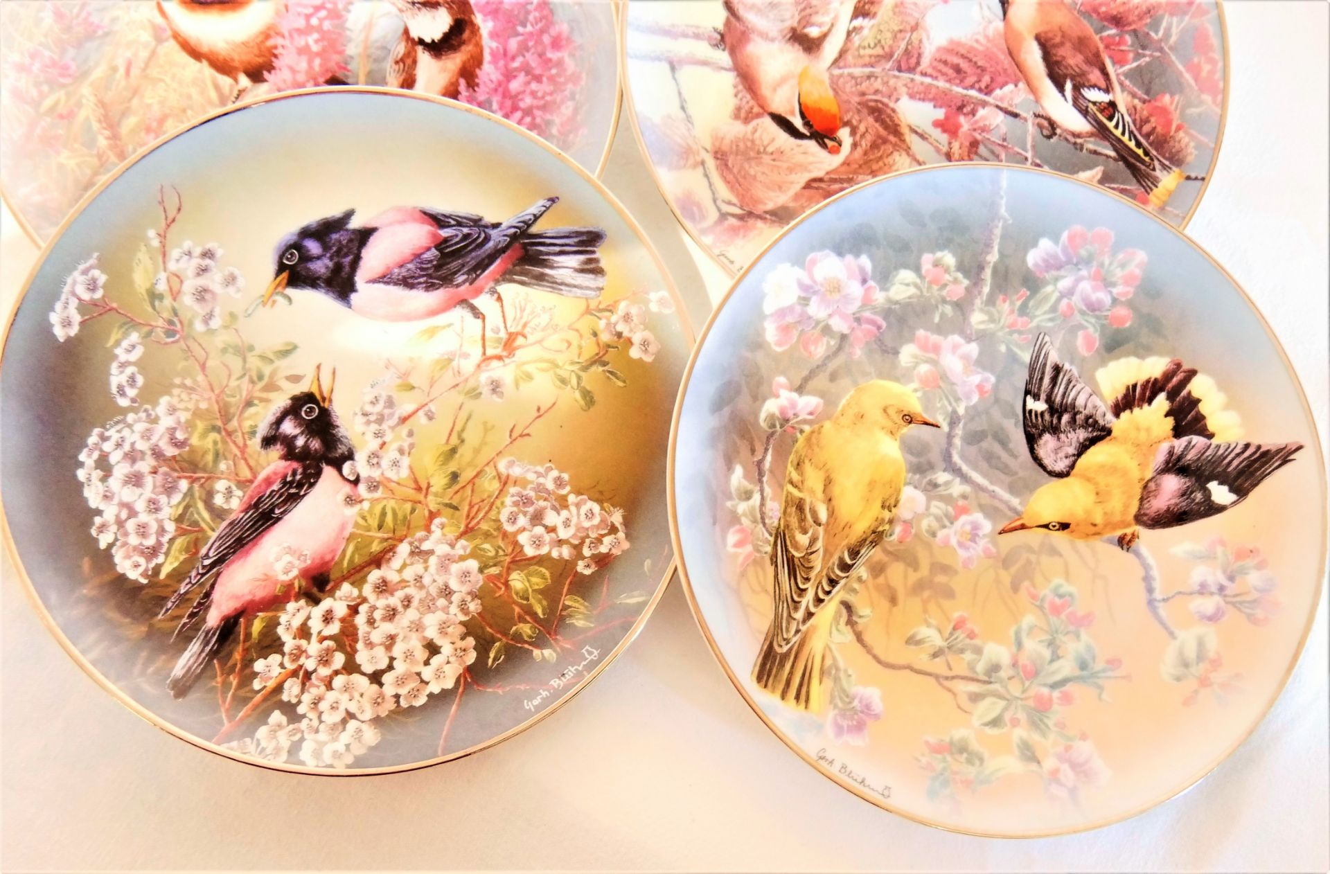 Porzellan Wandteller, Rosenthal. Insgesamt 6 Stück, alle Teller mit verschiedenen Vogelmotiven, - Image 2 of 2