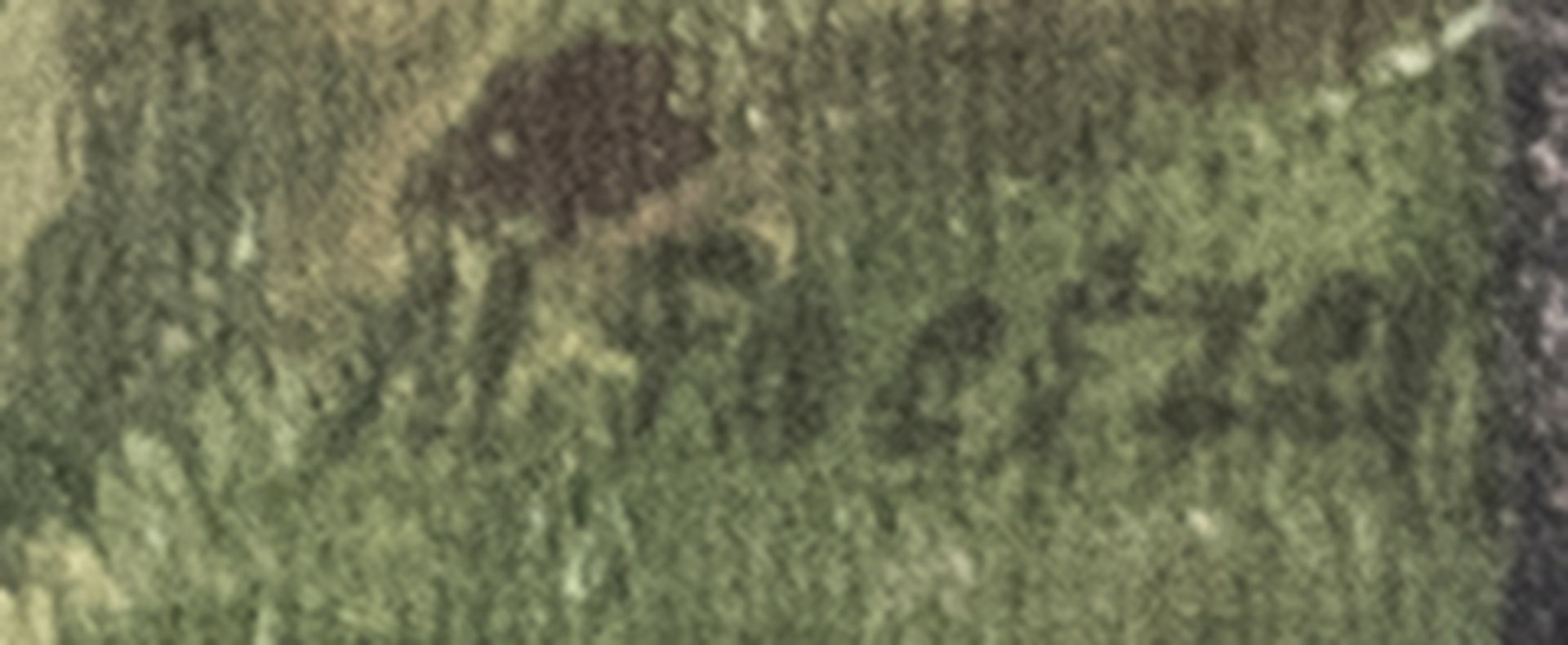 Ölgemälde "Bauernhof", Holzrahmen reparaturbedürftig. Rechts unten signiert. Maße: ca. 47 cm x ca. - Image 2 of 2
