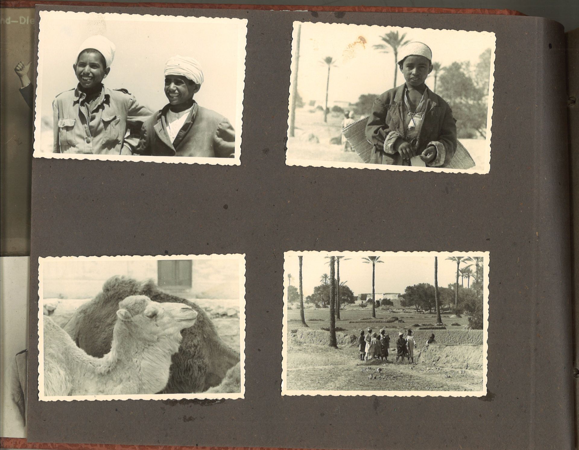 Fotoalbum, teilweise gefüllt mit Fotos, dabei Afrikacorps, wohl 1 Bild mit Rommel. Sehr - Image 2 of 3