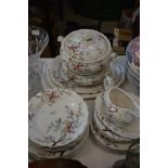 BOOTHS CHINESE TREE PATTERN PART DINNER SET