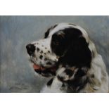 John C. Edwards (20th century) Cam, 7 1/2 yrs, Portrait of a Spaniel oil on board, signed, inscribed